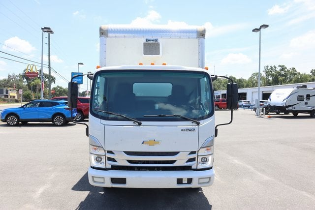 2024 Chevrolet Low Cab Forward 3500 MEDIUM ASH GRAY